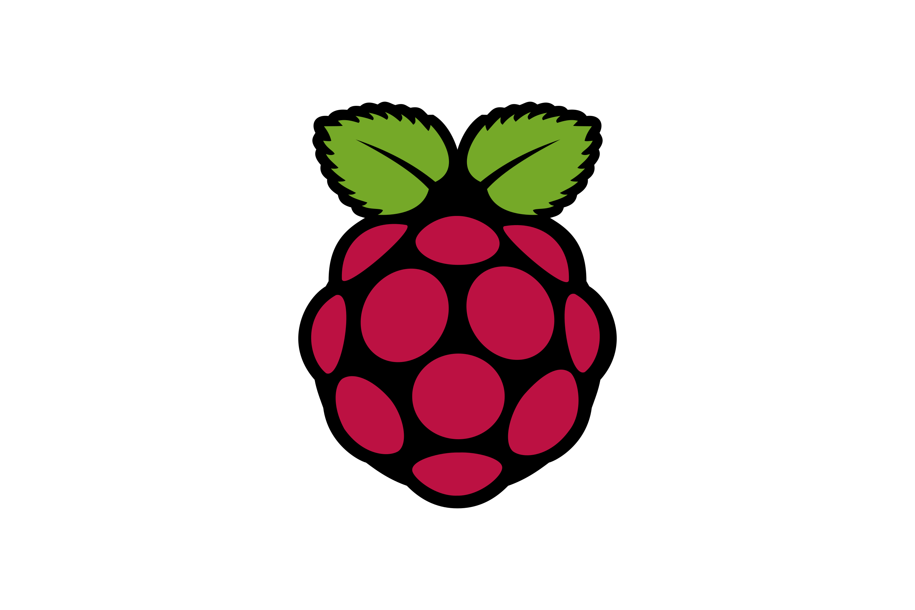 RaspberryPi